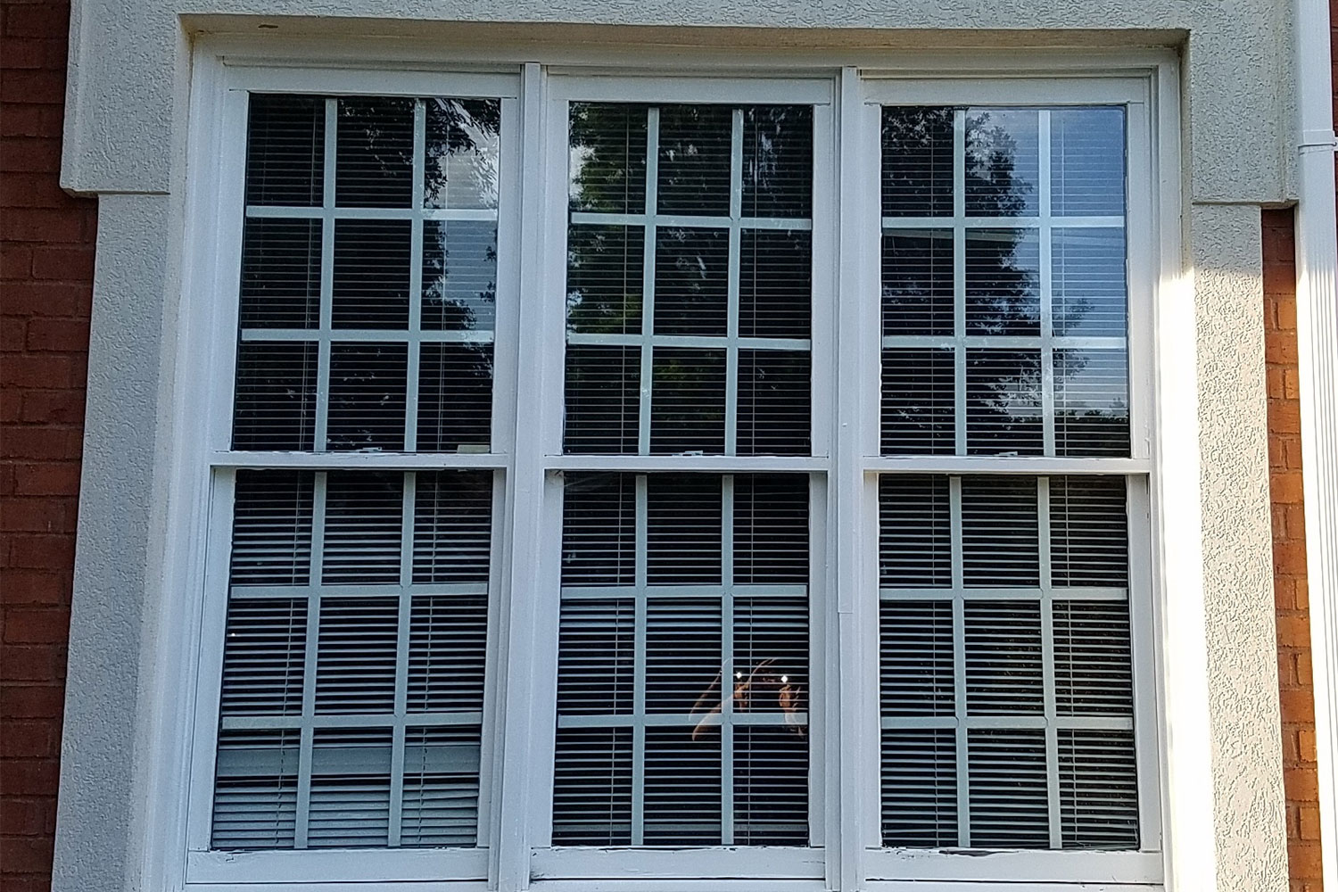 window before lenoir home