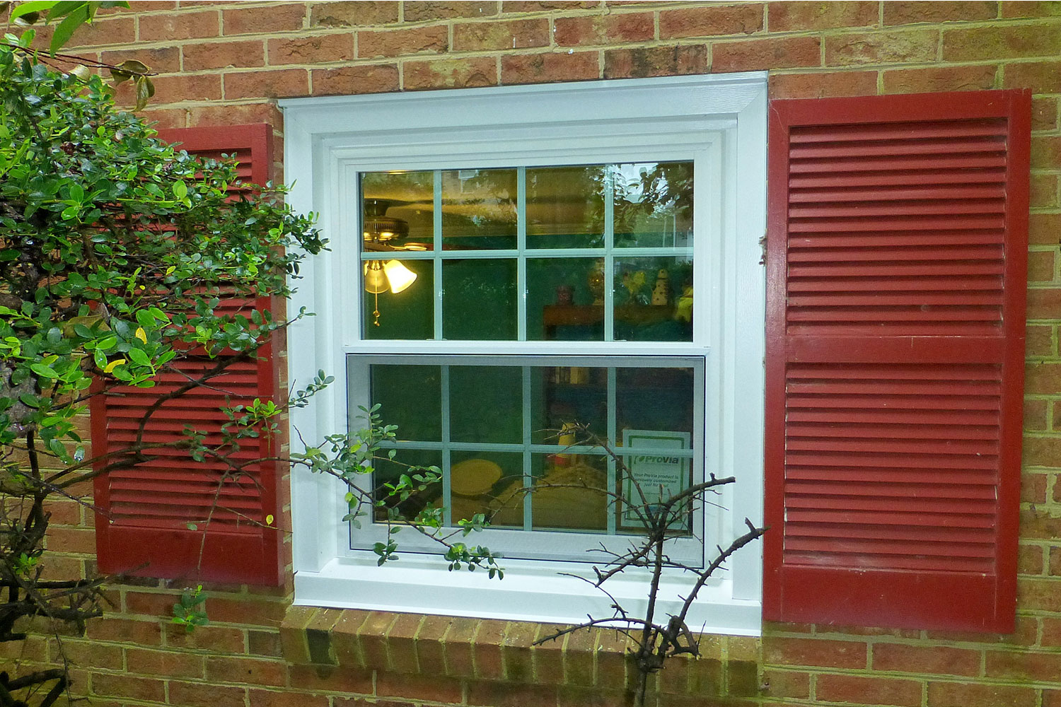 A tree in front of a white, square window with red sides