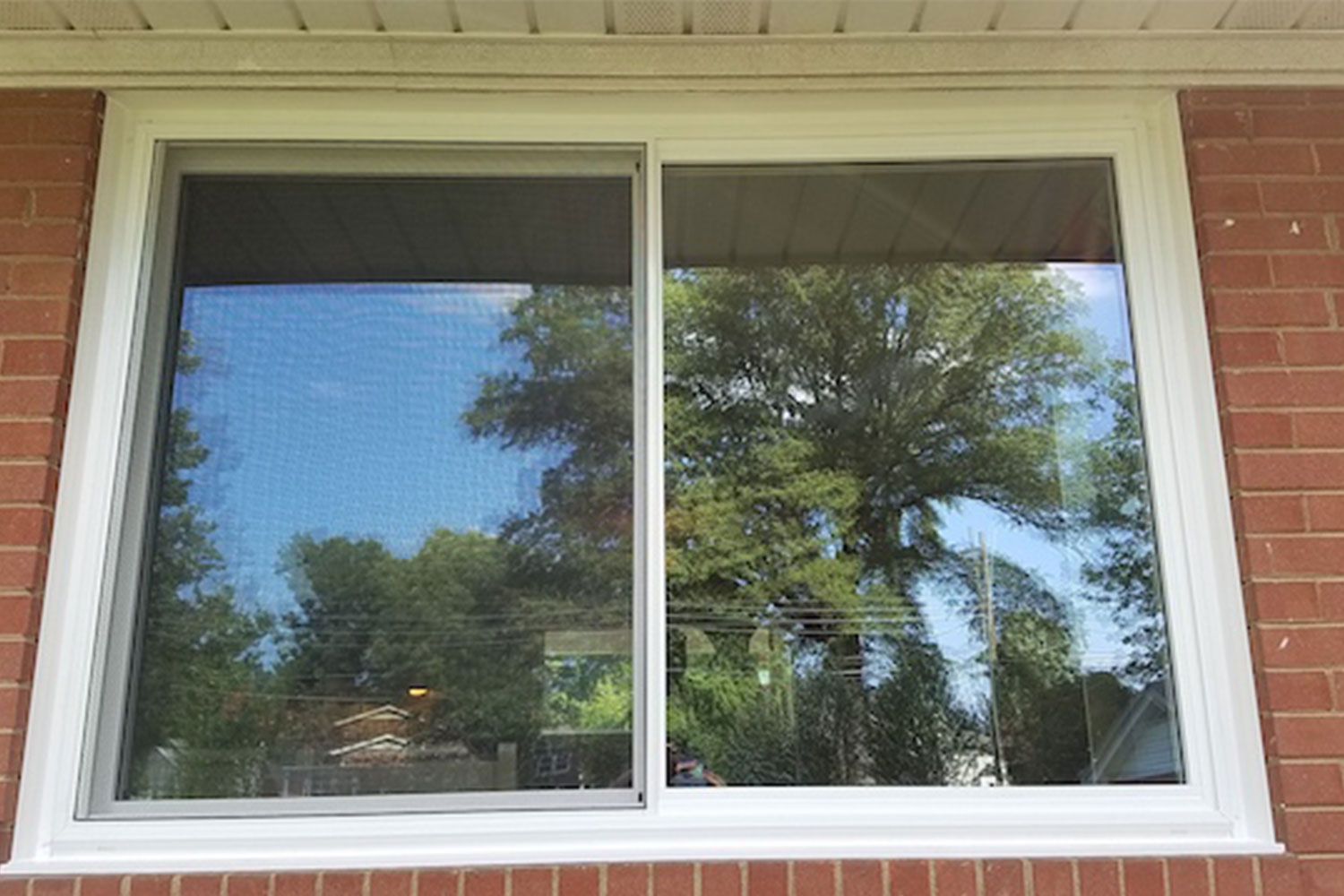 A window of a house from the outside with the reflection of trees